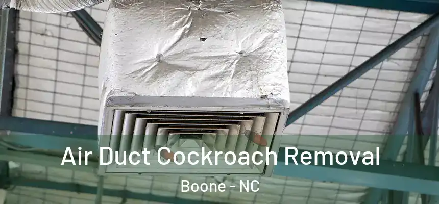  Air Duct Cockroach Removal Boone - NC