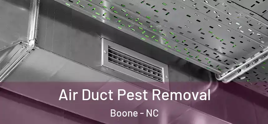  Air Duct Pest Removal Boone - NC