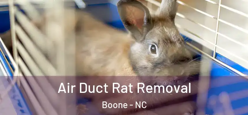  Air Duct Rat Removal Boone - NC