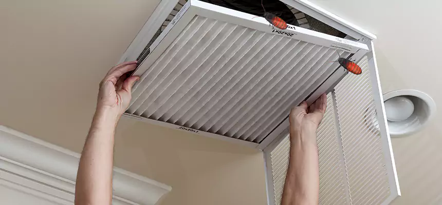 Preventive Cockroach-Proofing for Ducts in Boone