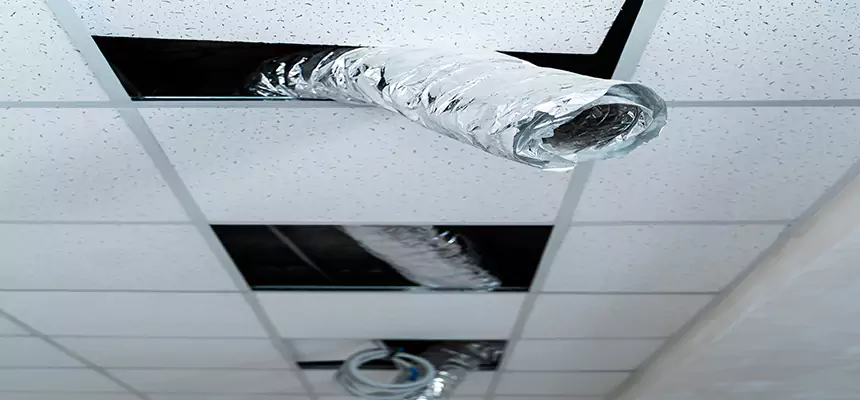 Our Air Duct Pet Hair Removal Services in Boone, NC