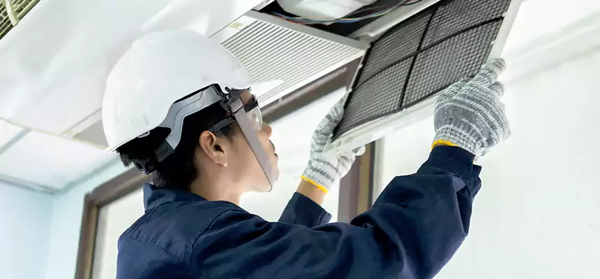 Our Mold & Mildew Removal from Air Ducts Services in Boone, NC