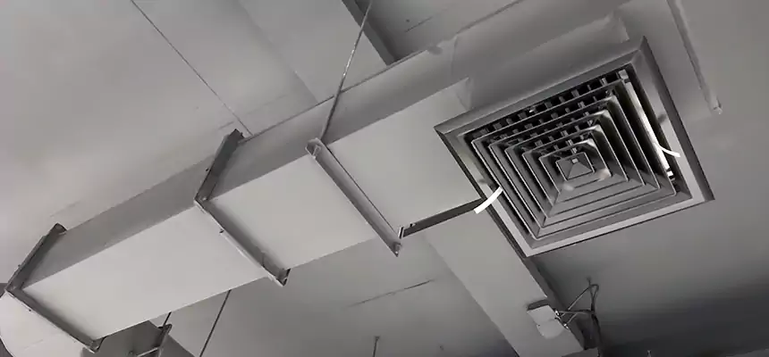 Our Pest Removal From Ducts Services in Boone, NC