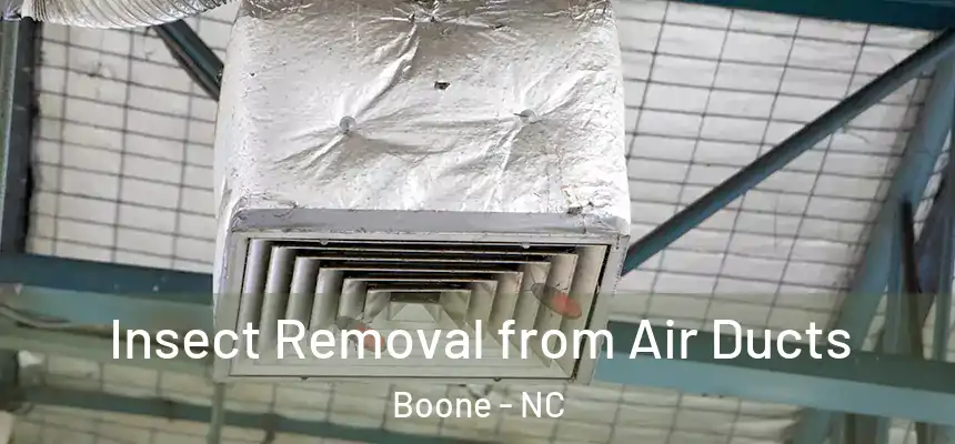  Insect Removal from Air Ducts Boone - NC