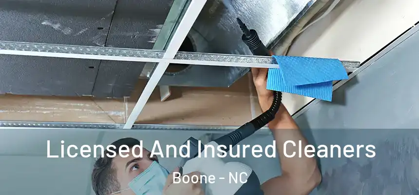  Licensed And Insured Cleaners Boone - NC