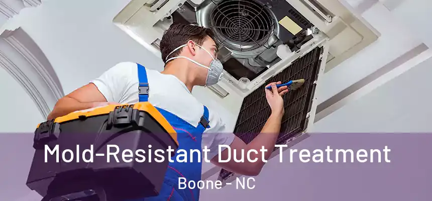  Mold-Resistant Duct Treatment Boone - NC