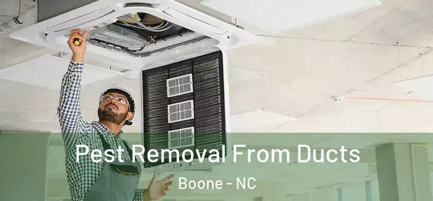  Pest Removal From Ducts Boone - NC