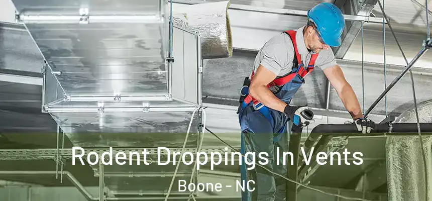  Rodent Droppings In Vents Boone - NC