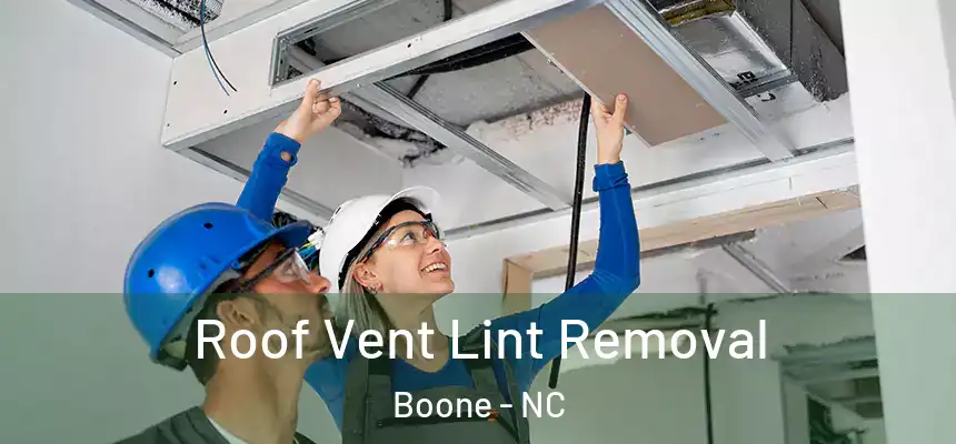  Roof Vent Lint Removal Boone - NC