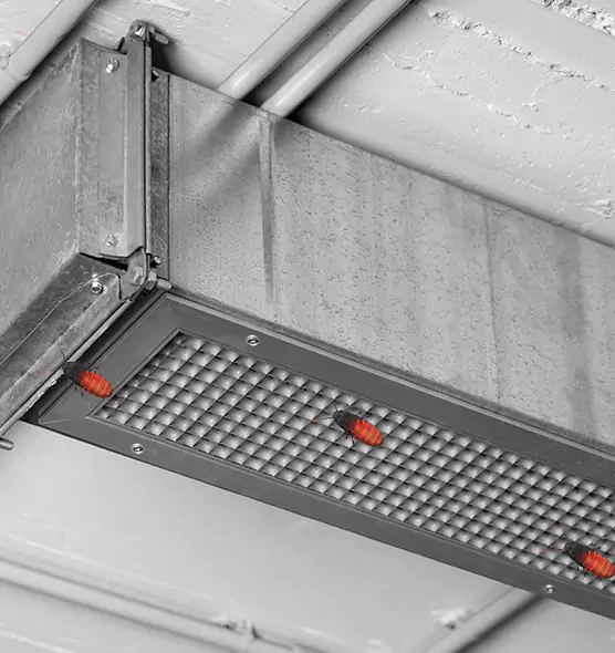 About Air Duct Cockroach Removal in Boone, NC