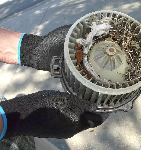 About Air Duct Mice Removal in Boone, NC