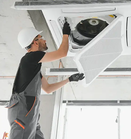 About Air Duct Rodent Removal in Boone, NC