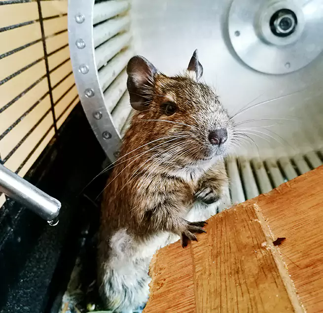 Why Homeowners & Businesses Trust Us Boone, NC?