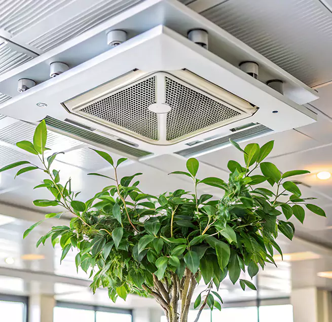 Why Homeowners & Businesses Trust Us in Boone, NC