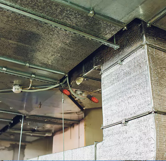 Why Homeowners & Businesses Trust Us Boone, NC?